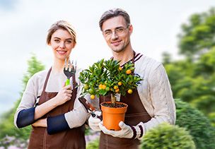 Проект «под ключ» где можно заказать по низкой цене  в Нововоронеже