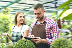 Дендроплан - верное планирование территории и решения этой задачи на уровне  в Нововоронеже