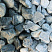 Kamenclub.ru: Щебень галтованный зеленый (змеевик) фр. 50-100 мм.  купить в Нововоронеже галтовка мраморная зеленый, салатовый мрамор 12 500 руб/т   фото КАМЕНЬ КЛУБ