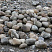 Kamenclub.ru: Речной валун (Ассорти) фр.100-300 мм.  купить в Нововоронеже галечник серый, темно-серый, светло-серый речная галька крупных размеров 4200 руб/т   фото КАМЕНЬ КЛУБ
