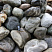 Kamenclub.ru: Речной валун Кабанчик фр.300-500 мм.  купить в Нововоронеже крупный природный камень галька серый, темно-серый речной валун галечник масштабный 7000 руб/т   фото КАМЕНЬ КЛУБ