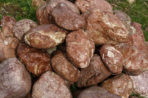 Kamenclub.ru: Розовый валунчик фр.100-300 мм.  купить в Нововоронеже крупный природный камень розовый, серый молочный красный речной галечник природный 7850 руб/т   фото КАМЕНЬ КЛУБ