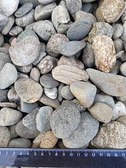 Kamenclub.ru: Галька речная окат (пестрая) фр. 20-40 мм. купить  в Нововоронеже галька речная пестрая, серая, серые оттенки галька речная окатанная округлая 5000 руб/т   фото КАМЕНЬ КЛУБ