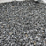 Kamenclub.ru: Щебень крошка черный (мрамор) фр. 10-20 мм.  купить в Нововоронеже мрамор черный с белыми прожилками, черный, белый каменная ландшафтная декоративная крошка щебня 11000 руб/т   фото КАМЕНЬ КЛУБ