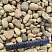 Kamenclub.ru: Галька речная окат рыжая фр. 20-40 мм. купить  в Нововоронеже галька речная окатанная рыжая желтая серая округлая речная галька 5000 руб/т   фото КАМЕНЬ КЛУБ