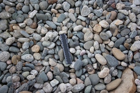 Kamenclub.ru: Галька речная окат (пестрая) фр. 20-40 мм. купить  в Нововоронеже галька речная пестрая, серая, серые оттенки галька речная окатанная округлая 5000 руб/т   фото КАМЕНЬ КЛУБ