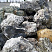 Kamenclub.ru: Черный гранит - кварцит фр. 100-500 мм.  купить в Нововоронеже мрамор гранит черный с белыми прожилками, серый, белый валун скальный колотый 7000 руб/т   фото КАМЕНЬ КЛУБ