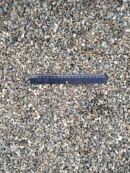 Kamenclub.ru: Галька речная окат (серая) фр.5-10 мм купить  в Нововоронеже галька речная серая, серый, темно-серый, светло-серый, коричневый речная окатанная галька декоративная ландшатфная 5000 руб/т   фото КАМЕНЬ КЛУБ