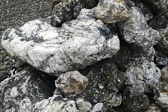 Kamenclub.ru: Черный гранит - кварцит фр. 100-500 мм.  купить в Нововоронеже мрамор гранит черный с белыми прожилками, серый, белый валун скальный колотый 7000 руб/т   фото КАМЕНЬ КЛУБ