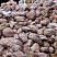 Kamenclub.ru: Розовый валунчик фр.100-300 мм.  купить в Нововоронеже крупный природный камень розовый, серый молочный красный речной галечник природный 7850 руб/т   фото КАМЕНЬ КЛУБ