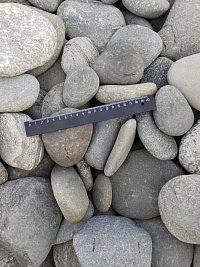 Kamenclub.ru: Галька речная плоская (серо-белая) фр. 70-120 мм. купить в Нововоронеже галька галечник речной серый, белый окатанная плоская  природная галька 9000 руб/т   фото КАМЕНЬ КЛУБ