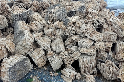 Kamenclub.ru: Крымский природный меотис фр. 100-500 мм.  купить в Нововоронеже меотис бежевый рыжий молочный желтый ракушечник 4 500 руб/т   фото КАМЕНЬ КЛУБ