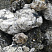 Kamenclub.ru: Черный гранит - кварцит фр. 100-500 мм.  купить в Нововоронеже мрамор гранит черный с белыми прожилками, серый, белый валун скальный колотый 7000 руб/т   фото КАМЕНЬ КЛУБ
