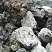 Kamenclub.ru: Черный гранит - кварцит фр. 100-500 мм.  купить в Нововоронеже мрамор гранит черный с белыми прожилками, серый, белый валун скальный колотый 7000 руб/т   фото КАМЕНЬ КЛУБ