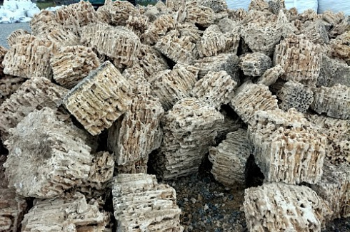 Kamenclub.ru: Крымский природный меотис фр. 100-500 мм.  купить в Нововоронеже меотис бежевый рыжий молочный желтый ракушечник 4 500 руб/т   фото КАМЕНЬ КЛУБ