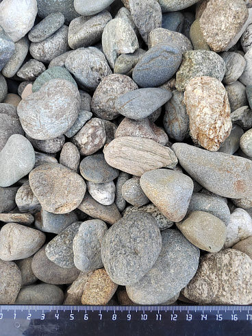 Kamenclub.ru: Галька речная окат (серая) фр.40-60 мм купить  в Нововоронеже галька речная серый бежевый рыжий коричневый округлый речной камень 5000 руб/т   фото КАМЕНЬ КЛУБ