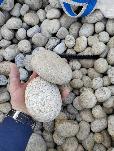 Kamenclub.ru: Галька речная окат (серо-белая) фр. 70-120 мм купить  в Нововоронеже галька галечник бело-серая, серо-белая, серая, белая речная природная галька  8000 руб/т   фото КАМЕНЬ КЛУБ