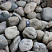 Kamenclub.ru: Темно-серый валунчик фр.100-300 мм.  купить в Нововоронеже крупный природный камень серый, темно-серый, светло-серый речная галька большого размера окатанная 4500 руб/т   фото КАМЕНЬ КЛУБ