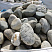 Kamenclub.ru: Речной валун (Ассорти) фр.100-300 мм.  купить в Нововоронеже галечник серый, темно-серый, светло-серый речная галька крупных размеров 4200 руб/т   фото КАМЕНЬ КЛУБ