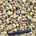 Kamenclub.ru: Галька речная окат рыжая фр. 20-40 мм. купить  в Нововоронеже галька речная окатанная рыжая желтая серая округлая речная галька 5000 руб/т   фото КАМЕНЬ КЛУБ