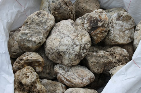 Kamenclub.ru: Кварцевый валунчик фр.100-300 мм.  купить в Нововоронеже кварц белый, бежевый молочный рыжий крупный природный камень галечник 7850 руб/т   фото КАМЕНЬ КЛУБ