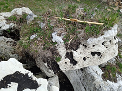 Kamenclub.ru: Выветренный известняк (степной) фр. 500-1500 мм.  купить в Нововоронеже    10000 руб/т   фото КАМЕНЬ КЛУБ