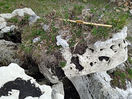 Kamenclub.ru: Выветренный известняк (степной) фр. 500-1500 мм.  купить в Нововоронеже    10000 руб/т   фото КАМЕНЬ КЛУБ