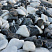 Kamenclub.ru: Мраморная крошка (щебень галтованный микс:: белый-черный) фр.20-40 мм  купить в Нововоронеже мрамор белый, черный мраморный галтованный щебень 15500 руб/т   фото КАМЕНЬ КЛУБ