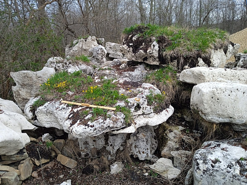 Kamenclub.ru: Выветренный известняк со мхом фр. 100-500 мм.  купить в Нововоронеже известняк серый белый зеленый валун известняковый крупный 10000 руб/т   фото КАМЕНЬ КЛУБ