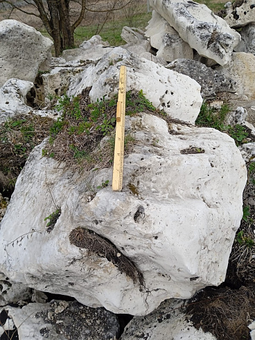 Kamenclub.ru: Выветренный известняк со мхом фр. 100-500 мм.  купить в Нововоронеже известняк серый белый зеленый валун известняковый крупный 10000 руб/т   фото КАМЕНЬ КЛУБ