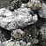 Kamenclub.ru: Черный гранит - кварцит фр. 100-500 мм.  купить в Нововоронеже мрамор гранит черный с белыми прожилками, серый, белый валун скальный колотый 7000 руб/т   фото КАМЕНЬ КЛУБ
