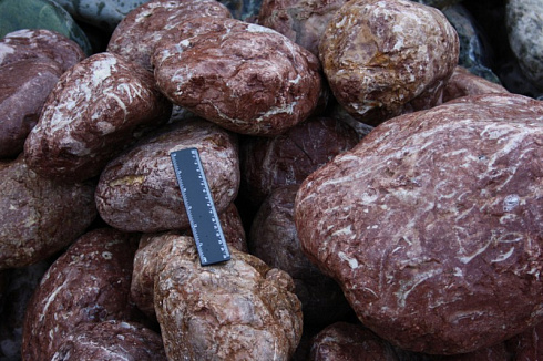 Kamenclub.ru: Розовый валунчик фр.100-300 мм.  купить в Нововоронеже крупный природный камень розовый, серый молочный красный речной галечник природный 7850 руб/т   фото КАМЕНЬ КЛУБ