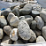 Kamenclub.ru: Речной валун (Ассорти) фр.100-300 мм.  купить в Нововоронеже галечник серый, темно-серый, светло-серый речная галька крупных размеров 4200 руб/т   фото КАМЕНЬ КЛУБ