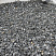 Kamenclub.ru: Щебень крошка черный (мрамор) фр. 5-10 мм.  купить в Нововоронеже мрамор черный с белыми прожилками, черный, белый мраморная крошка декоративная ландшафтная 11000 руб/т   фото КАМЕНЬ КЛУБ