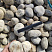 Kamenclub.ru: Галька речная окат (серо-белая) фр. 70-120 мм купить  в Нововоронеже галька галечник бело-серая, серо-белая, серая, белая речная природная галька  8000 руб/т   фото КАМЕНЬ КЛУБ