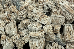 Kamenclub.ru: Крымский природный меотис фр. 100-500 мм.  купить в Нововоронеже меотис бежевый рыжий молочный желтый ракушечник 4 500 руб/т   фото КАМЕНЬ КЛУБ