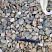Kamenclub.ru: Галька речная окат (пестрая) фр. 20-40 мм. купить  в Нововоронеже галька речная пестрая, серая, серые оттенки галька речная окатанная округлая 5000 руб/т   фото КАМЕНЬ КЛУБ