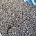 Kamenclub.ru: Галька речная окат (серая) фр.3-5 мм купить  в Нововоронеже галька речная серая бежевый темно-серый окатанный речной камень округлый 9500 руб/т   фото КАМЕНЬ КЛУБ