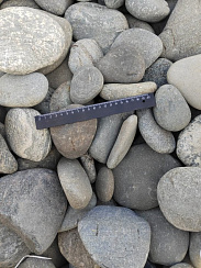 Kamenclub.ru: Галька речная плоская (ассорти) фр. 70-150 мм. купить в Нововоронеже галька галечник серый белый темно-серый синий светло-серый плоская природная галька  9000 руб/т   фото КАМЕНЬ КЛУБ