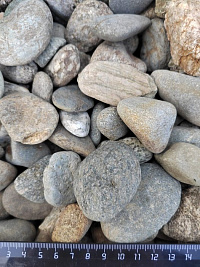 Kamenclub.ru: Галька речная окат (серая) фр.40-60 мм купить  в Нововоронеже галька речная серый бежевый рыжий коричневый округлый речной камень 5000 руб/т   фото КАМЕНЬ КЛУБ