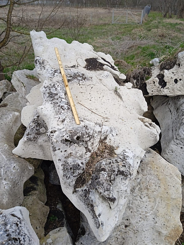 Kamenclub.ru: Выветренный известняк со мхом фр. 100-500 мм.  купить в Нововоронеже известняк серый белый зеленый валун известняковый крупный 10000 руб/т   фото КАМЕНЬ КЛУБ