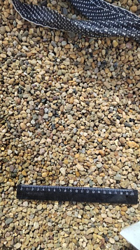 Kamenclub.ru: Галька окат (серо-желтая) фр.5-10 мм. купить  в Нововоронеже галька речная рыжий, желтый, рыжий, серо-желтый речная окатанная галька декоративная 5000 руб/т   фото КАМЕНЬ КЛУБ