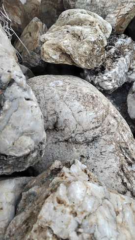 Kamenclub.ru: Кварцевый валунчик фр.100-300 мм.  купить в Нововоронеже кварц белый, бежевый молочный рыжий крупный природный камень галечник 7850 руб/т   фото КАМЕНЬ КЛУБ