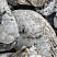 Kamenclub.ru: Кварцевый валунчик фр.100-300 мм.  купить в Нововоронеже кварц белый, бежевый молочный рыжий крупный природный камень галечник 7850 руб/т   фото КАМЕНЬ КЛУБ