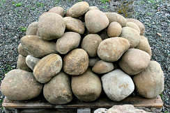 Kamenclub.ru: Песчаник ядра, фр. 100-300 мм  купить в Нововоронеже песчаник бежевый серый рыжий речная галька 5 000 руб/т   фото КАМЕНЬ КЛУБ