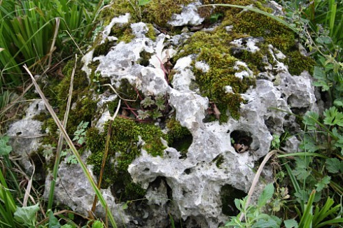 Kamenclub.ru: Выветренный известняк со мхом фр. 100-500 мм.  купить в Нововоронеже известняк серый белый зеленый валун известняковый крупный 10000 руб/т   фото КАМЕНЬ КЛУБ