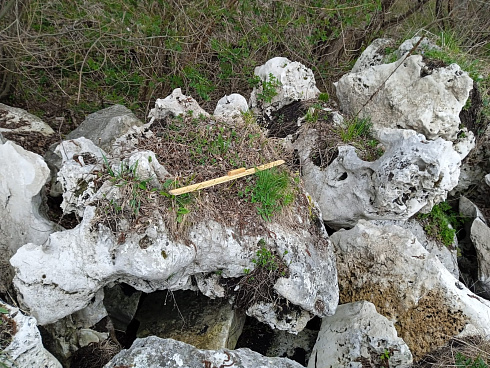 Kamenclub.ru: Выветренный известняк (степной) фр. 500-1500 мм.  купить в Нововоронеже    10000 руб/т   фото КАМЕНЬ КЛУБ