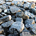 Kamenclub.ru: Щебень галтованный черный (мрамор) фр.20-40 мм.  купить в Нововоронеже мрамор черный с белыми прожилками мрамор окатанный округлый 15000 руб/т   фото КАМЕНЬ КЛУБ