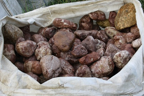 Kamenclub.ru: Розовый валунчик фр.100-300 мм.  купить в Нововоронеже крупный природный камень розовый, серый молочный красный речной галечник природный 7850 руб/т   фото КАМЕНЬ КЛУБ