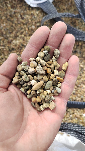 Kamenclub.ru: Галька окат (серо-желтая) фр.5-10 мм. купить  в Нововоронеже галька речная рыжий, желтый, рыжий, серо-желтый речная окатанная галька декоративная 5000 руб/т   фото КАМЕНЬ КЛУБ